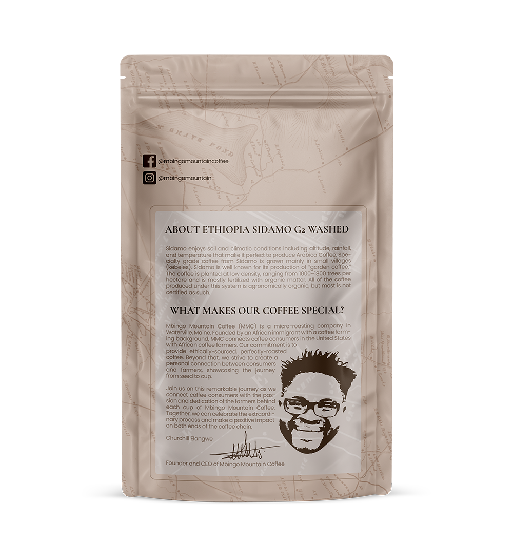 ETHIOPIA SIDAMO G2 Washed