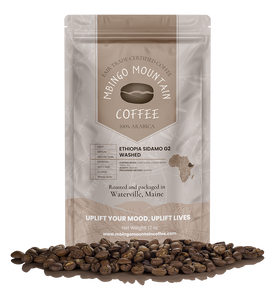 ETHIOPIA SIDAMO G2 Washed